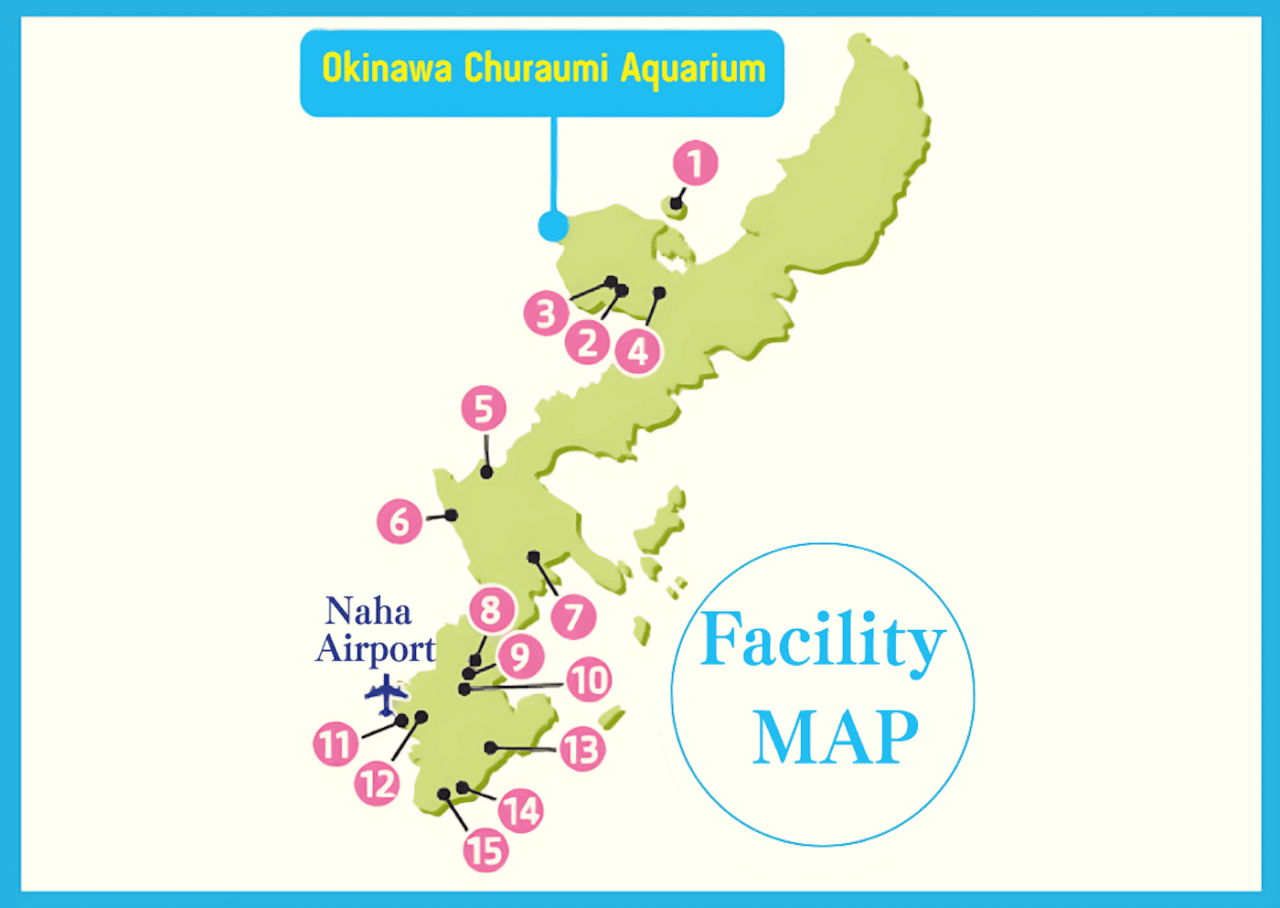 Okinawa Churaumi TokuToku Pass, фото 17
